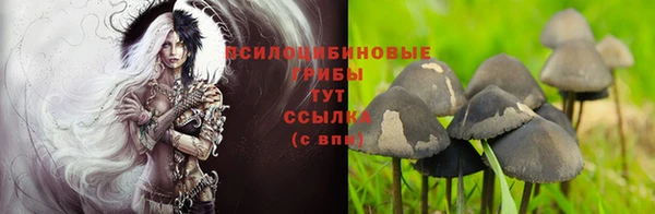 ECSTASY Россошь