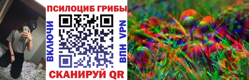 Галлюциногенные грибы Cubensis  Теберда 